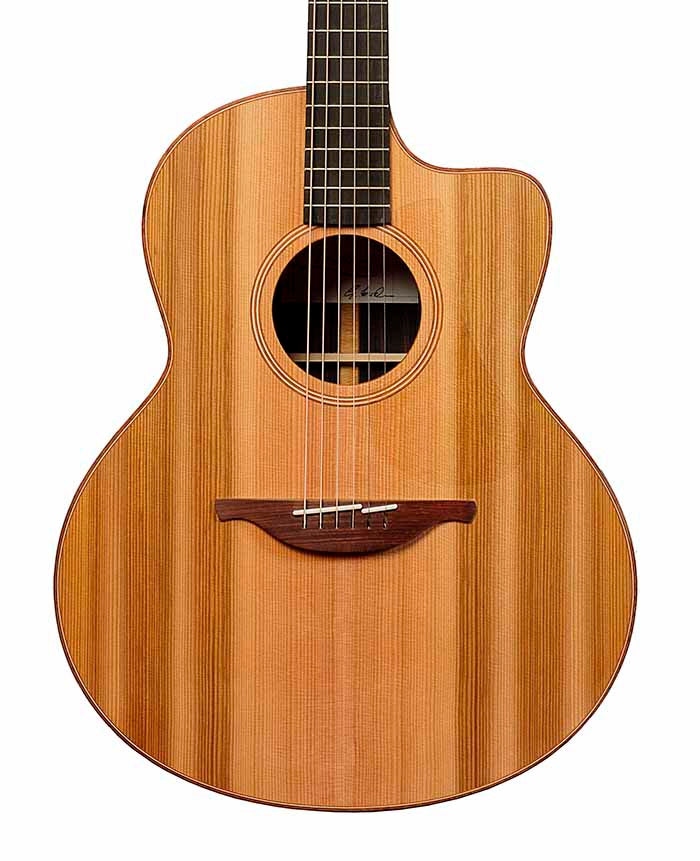 Lowden F-25C (DrIftwood)