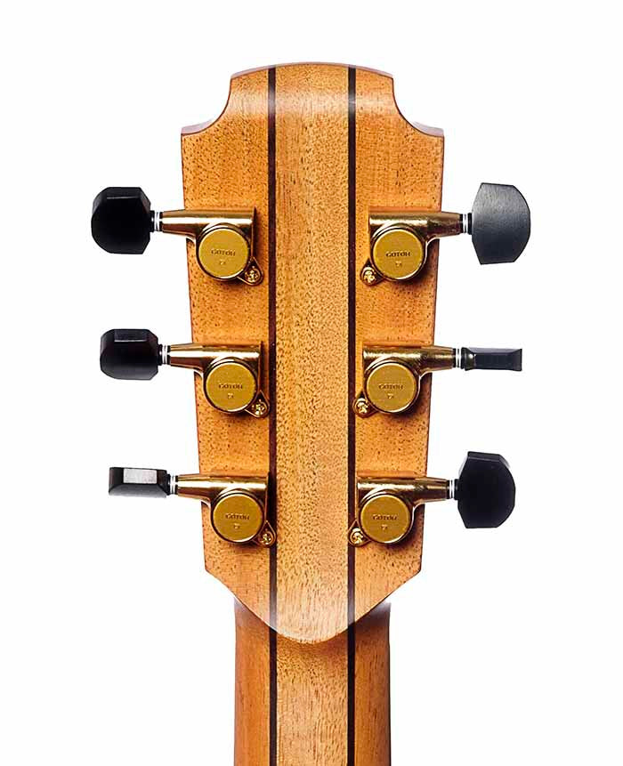 Lowden F-25C (DrIftwood)