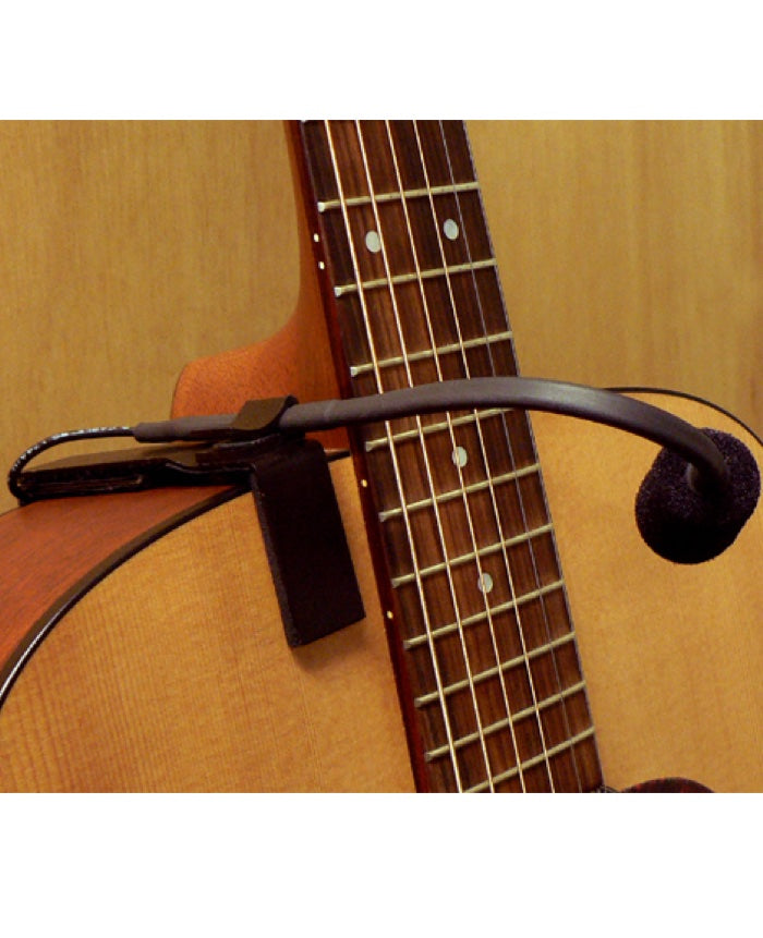 K&K Meridian Microphone