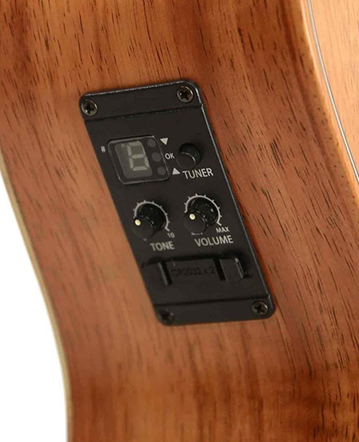 Taylor GS Mini-E Koa